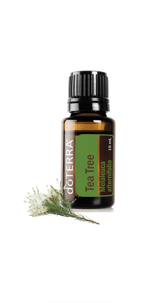 Tea Tree ( Arbore de ceai )